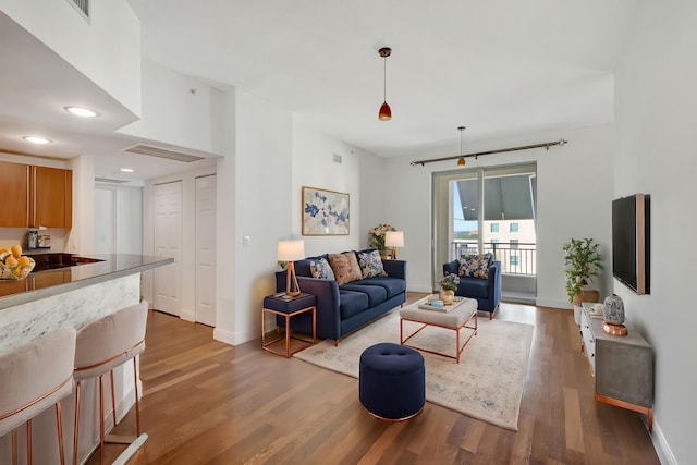 living room featuring dark hardwood / wood-style floors