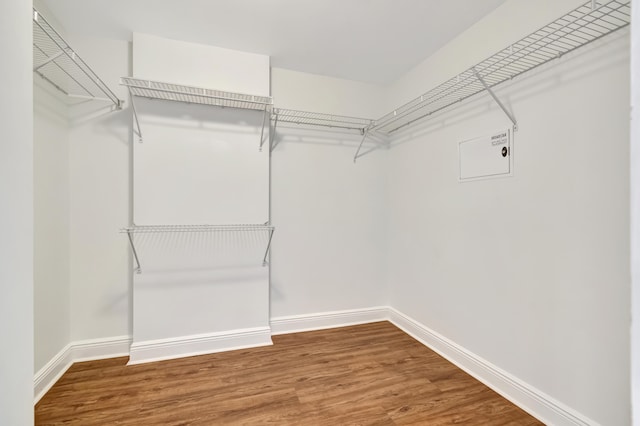 walk in closet featuring hardwood / wood-style flooring