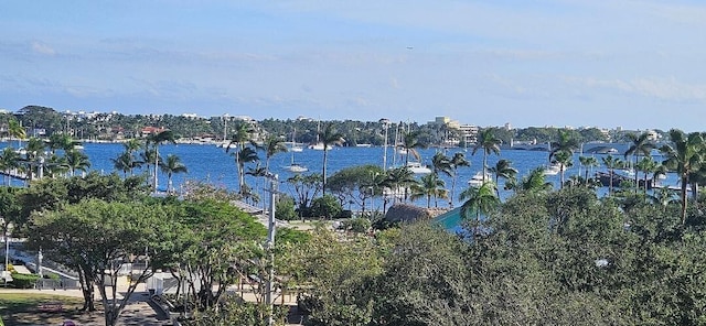 view of water feature