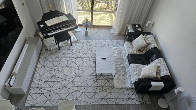 living room with hardwood / wood-style floors