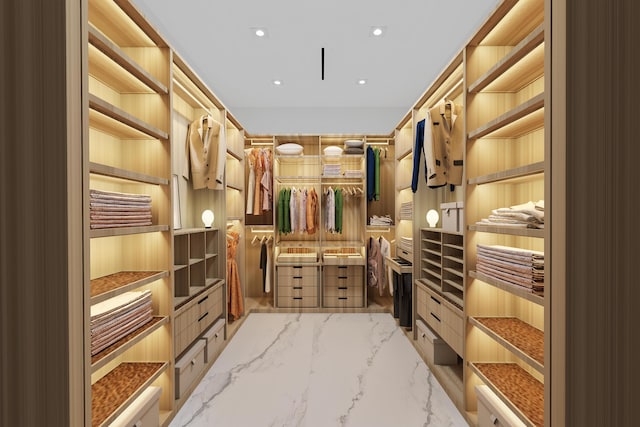 view of walk in closet