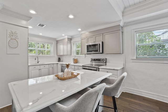 kitchen featuring appliances with stainless steel finishes, dark hardwood / wood-style floors, a healthy amount of sunlight, and sink