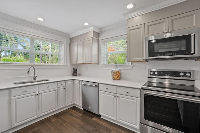 kitchen with white cabinetry, sink, dark hardwood / wood-style flooring, crown molding, and appliances with stainless steel finishes