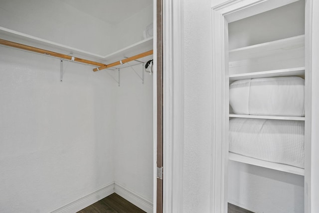 spacious closet with dark wood-type flooring