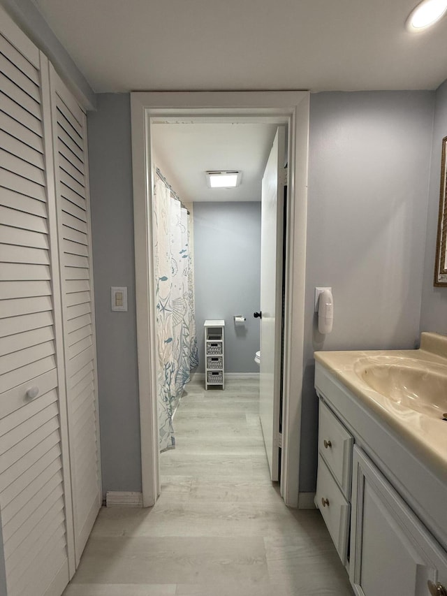 bathroom with vanity and wood-type flooring