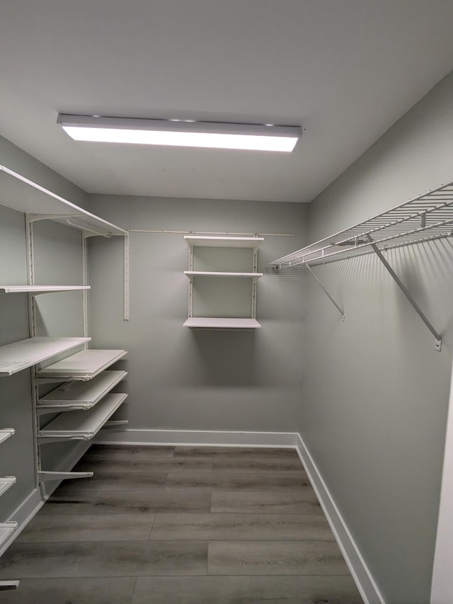 walk in closet featuring dark wood-type flooring