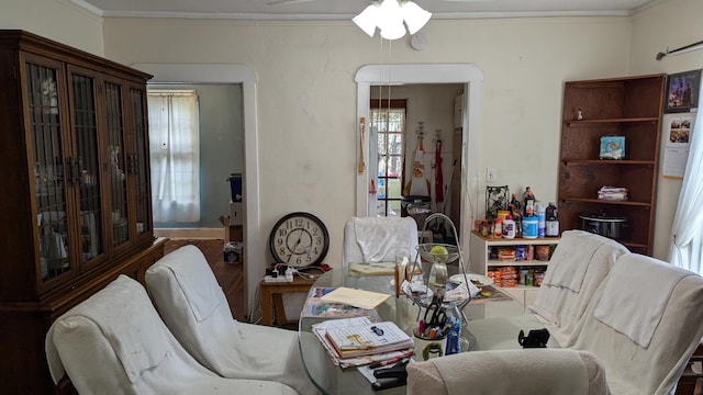 dining space featuring ceiling fan, wood-type flooring, and crown molding