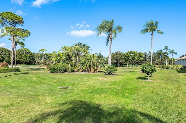 view of property's community featuring a yard