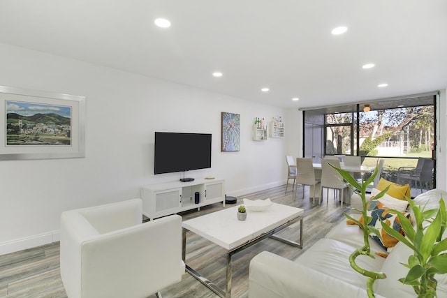 living room featuring hardwood / wood-style floors