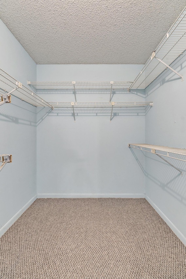 walk in closet with carpet