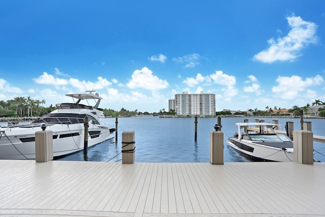 dock area with a water view