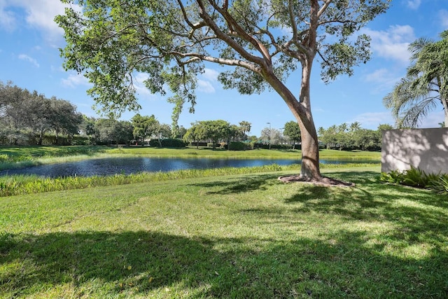 view of yard featuring a water view