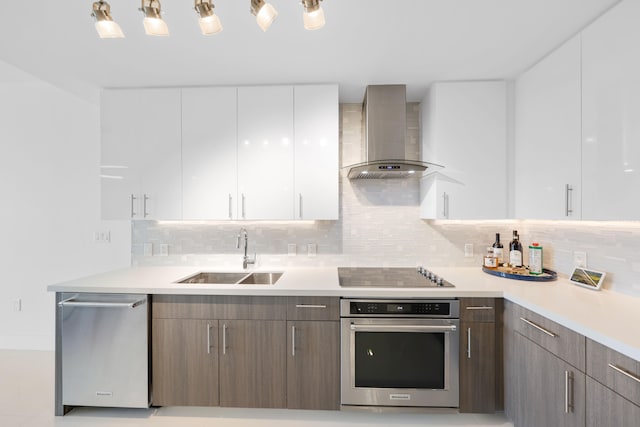 kitchen featuring white cabinets, wall chimney exhaust hood, sink, and stainless steel appliances