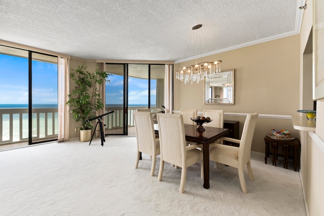 dining space with floor to ceiling windows, light carpet, a water view, crown molding, and a textured ceiling