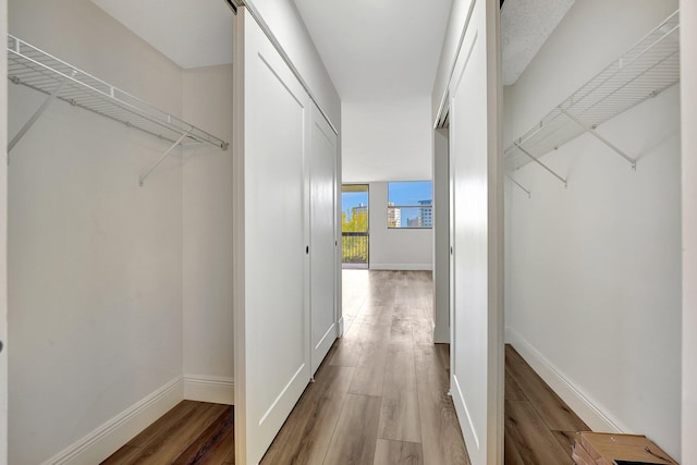 walk in closet with hardwood / wood-style flooring and a barn door