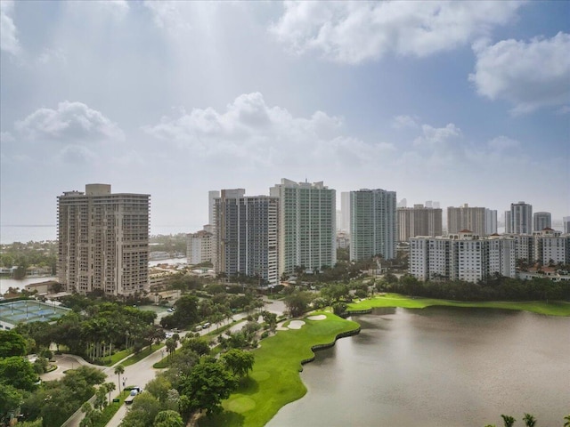 aerial view with a water view