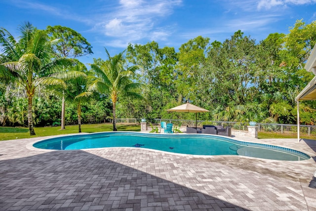 view of swimming pool with a patio area