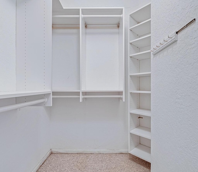 walk in closet featuring light carpet