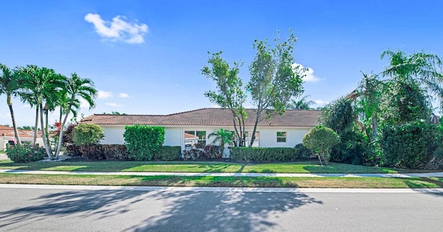 ranch-style house with a front yard