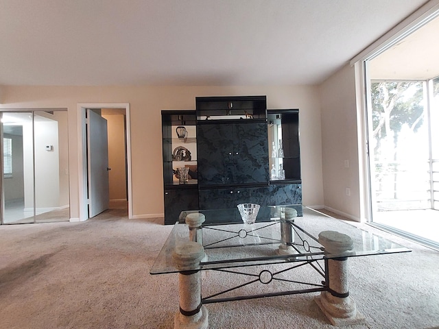 living room featuring carpet flooring