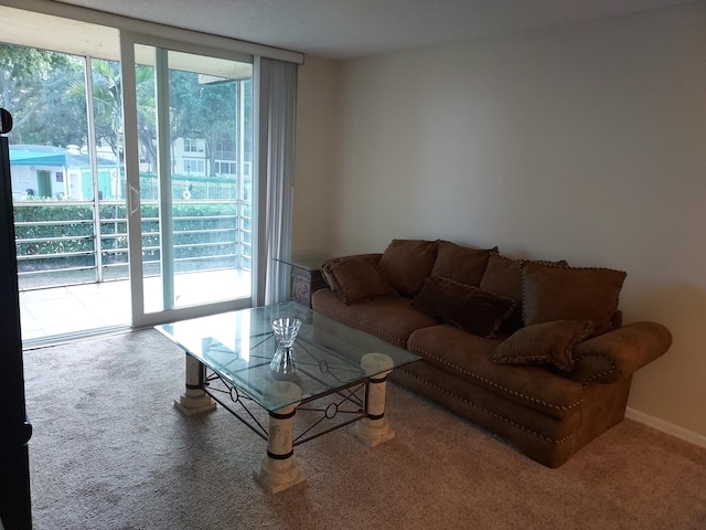 living room featuring floor to ceiling windows and carpet floors