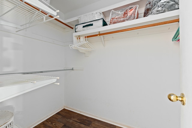 spacious closet with dark hardwood / wood-style floors