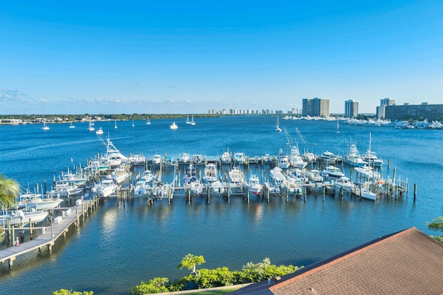 property view of water featuring a dock