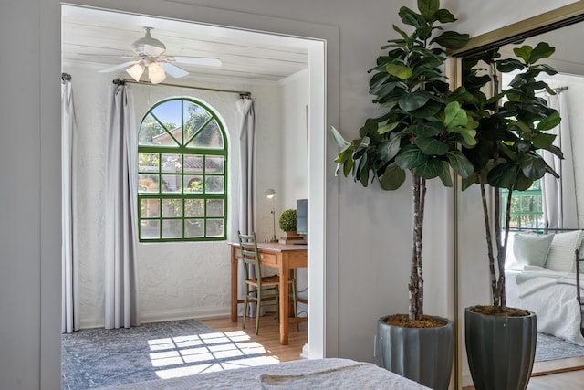 doorway featuring light wood-type flooring and ceiling fan