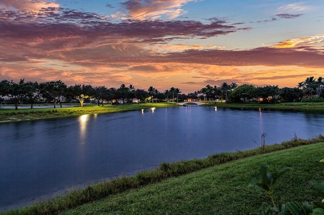 property view of water