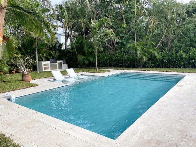 view of swimming pool featuring area for grilling and a patio