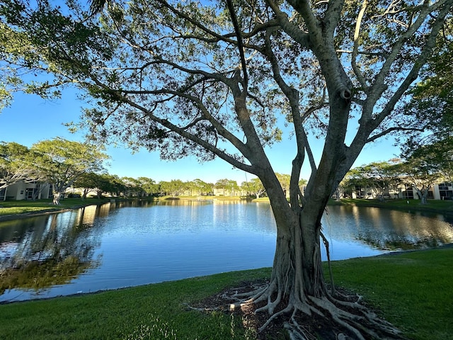 water view