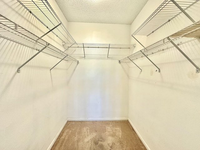 walk in closet with carpet flooring