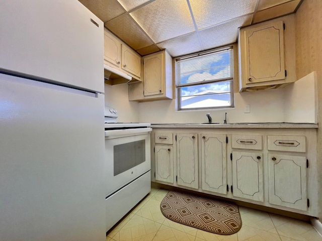 kitchen featuring a paneled ceiling, white appliances, light countertops, and a sink