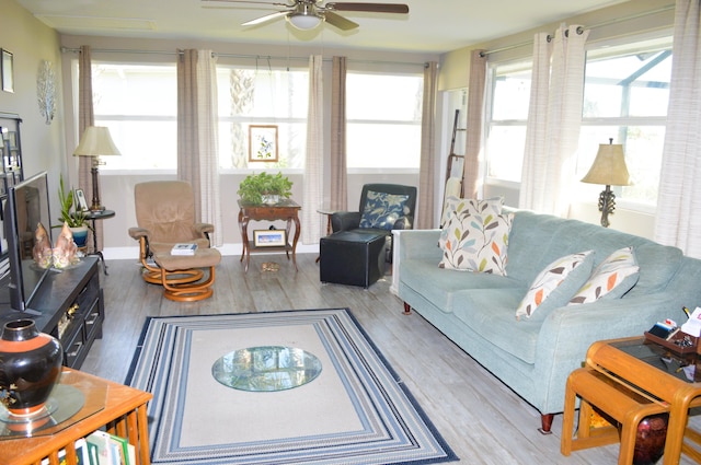 living room with ceiling fan and wood-type flooring