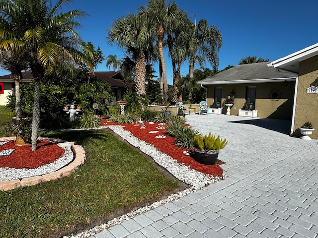 view of yard with a patio area