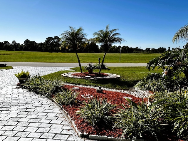 surrounding community featuring a lawn