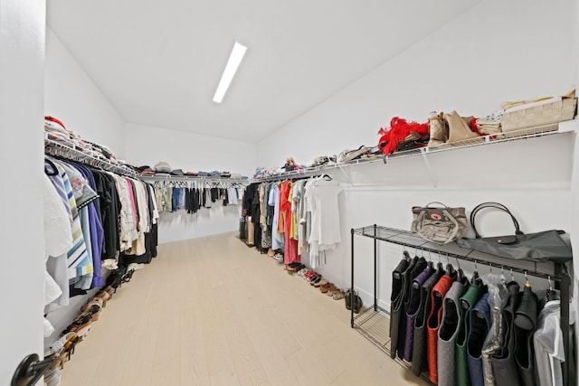 spacious closet featuring wood-type flooring