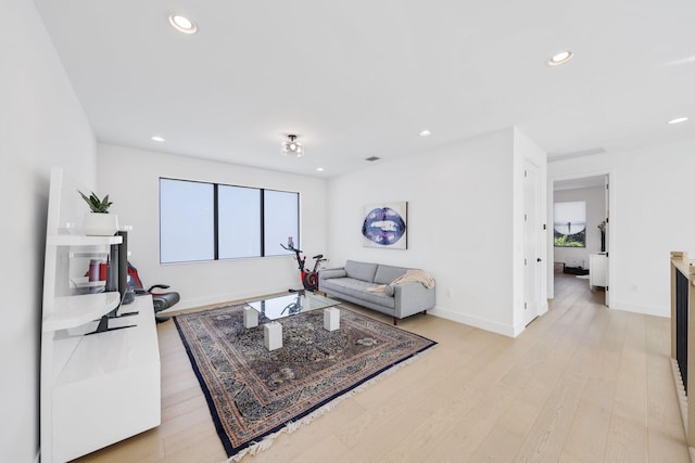 living room featuring light hardwood / wood-style flooring