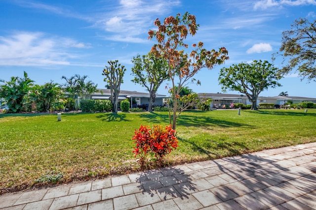 view of front facade with a front yard