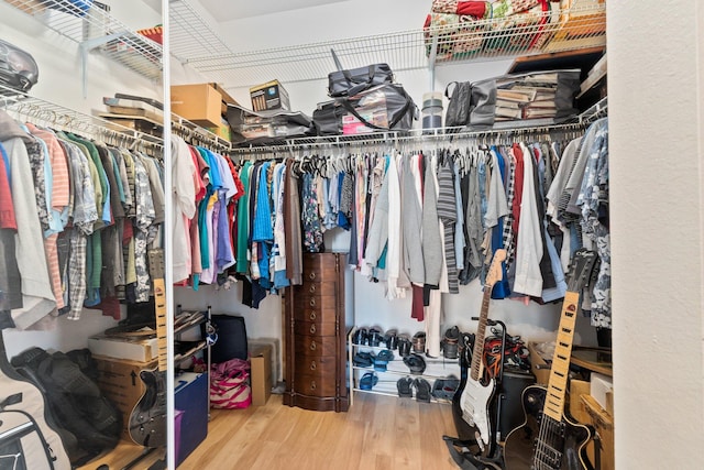 spacious closet with hardwood / wood-style flooring