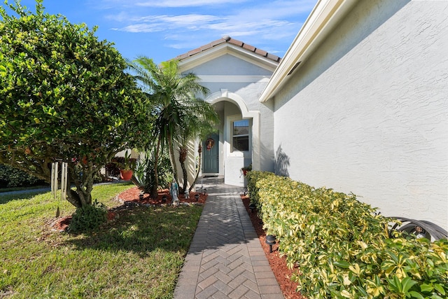 entrance to property featuring a yard