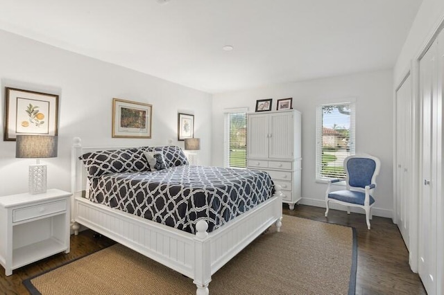 bedroom with a closet and dark hardwood / wood-style floors