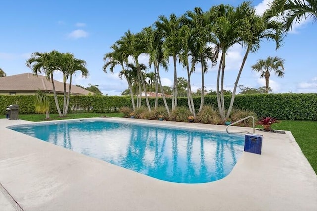 view of swimming pool