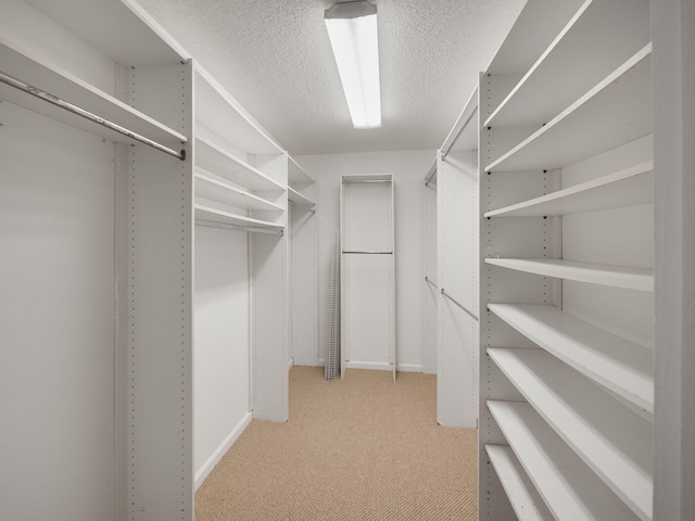 walk in closet with light colored carpet