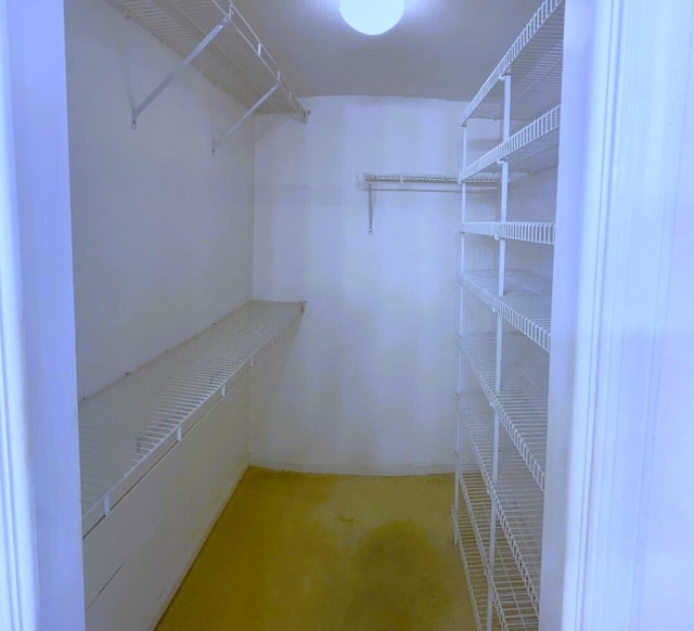 view of walk in closet