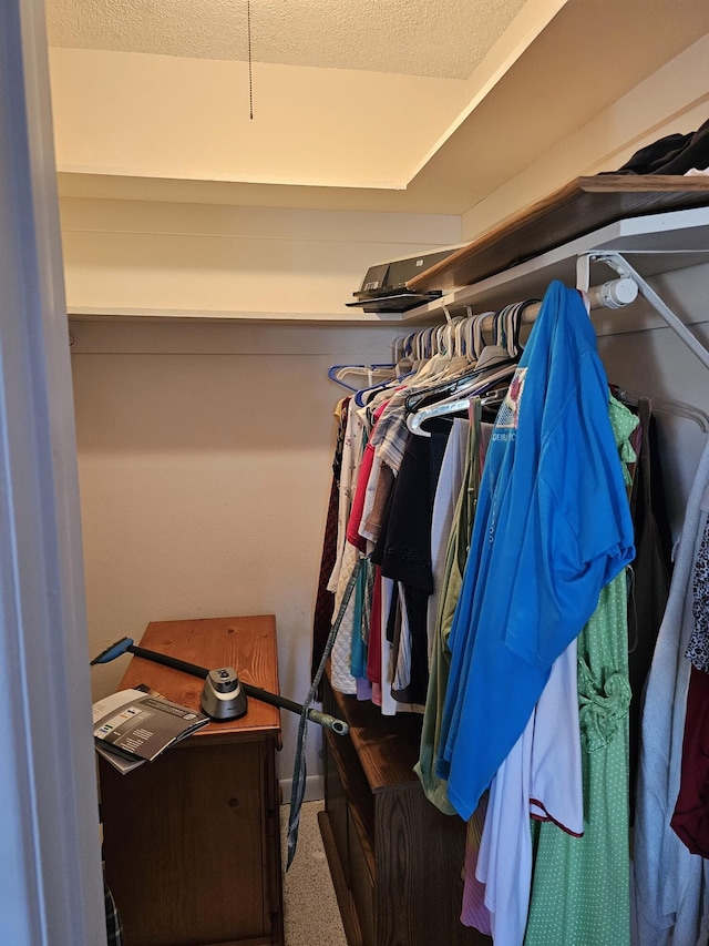 view of spacious closet