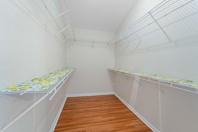 spacious closet featuring hardwood / wood-style flooring