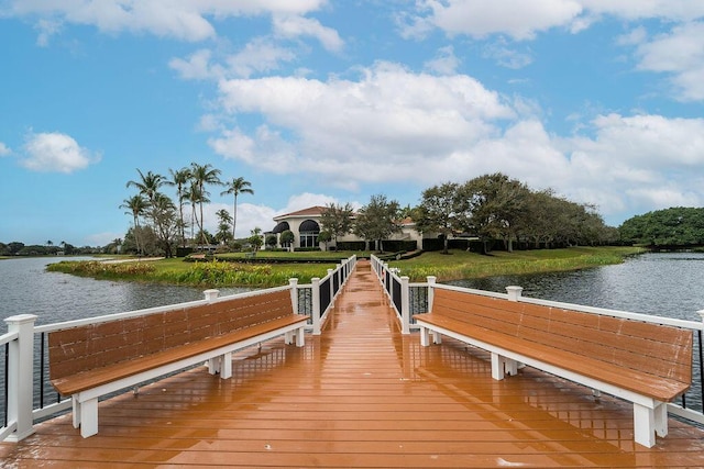 dock area with a water view