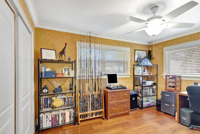 office space featuring crown molding, ceiling fan, and light hardwood / wood-style floors