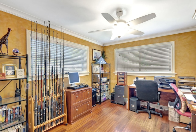 office featuring ceiling fan, light hardwood / wood-style floors, and ornamental molding